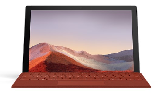 浦江清洁和维护 Surface